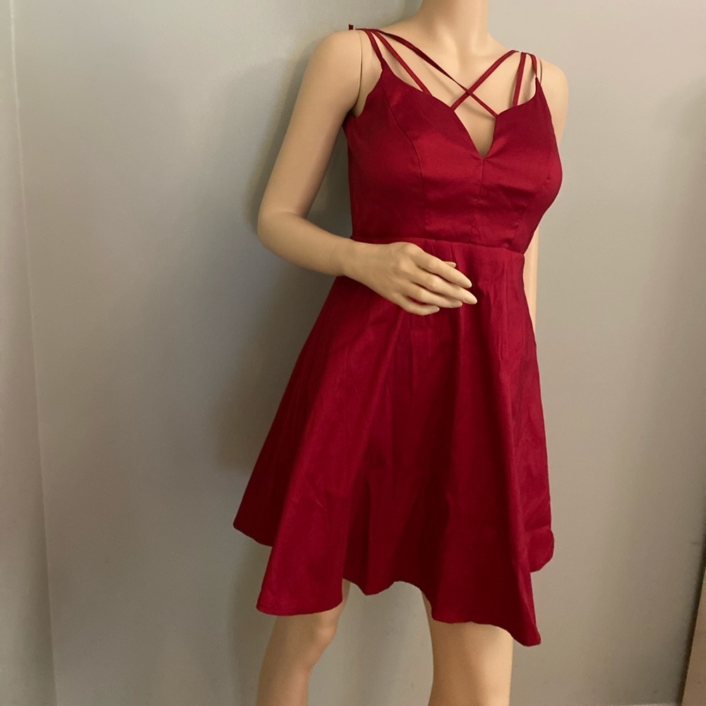 NWT MINUET fit and flare dress